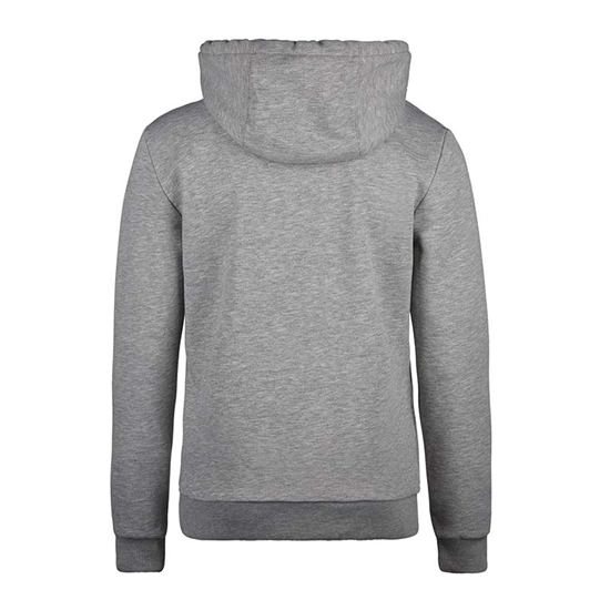 Εικόνα από Φούτερ Wms Brand Hoodie December Sky Melee